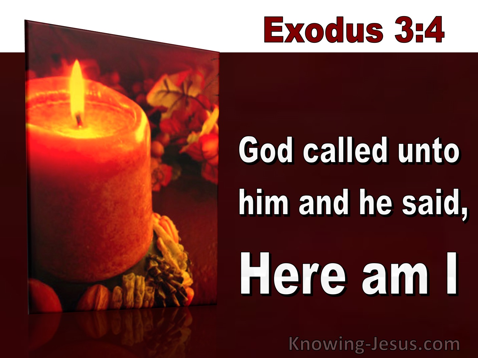 What Does Exodus 3 4 Mean 
